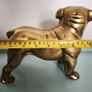 Large brass bulldog Image 5