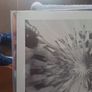 Vinyl.Eliza And The Bear. Image 2