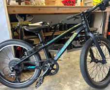 Orbea Mx20 Team