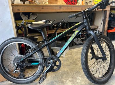 Orbea Mx20 Team