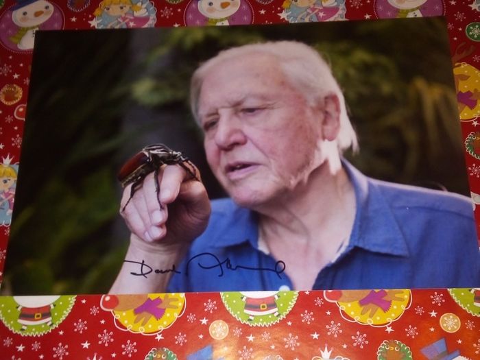 David aattenborough Signed 12x8 Photo