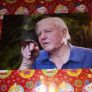 David aattenborough Signed 12x8 Photo Image 2