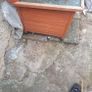 dog kennel Image 5