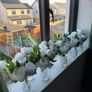 Flowers and Jars Image 2