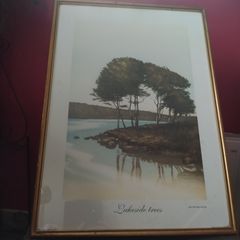 Lakeside trees / John MC Nulty