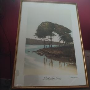 Lakeside trees / John MC Nulty