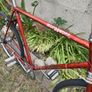 Royal Derby Marlboro 3 speed bike Image 7