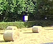 Bales of hay