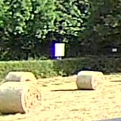 Bales of hay
