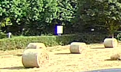 Bales of hay