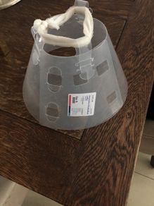 Protective Elizabethan Collar
