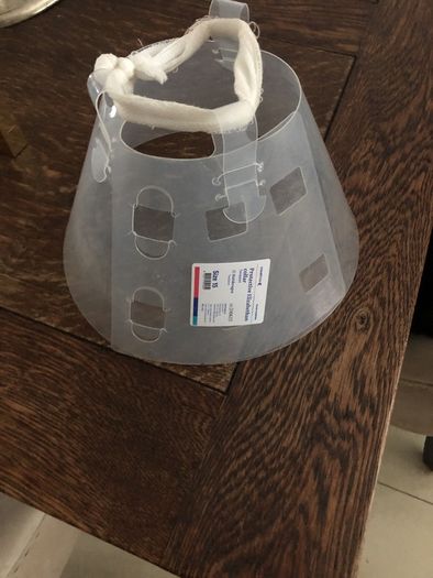 Protective Elizabethan Collar