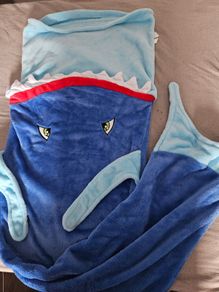 Kids Sleeping Bag Like New
