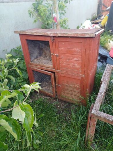 rabbit hutch