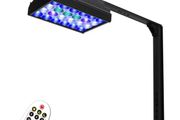 Aquarium lights