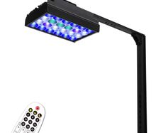 Aquarium lights
