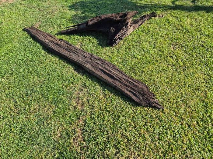 Ancient Bog Oak from Co.Kildare Bog
