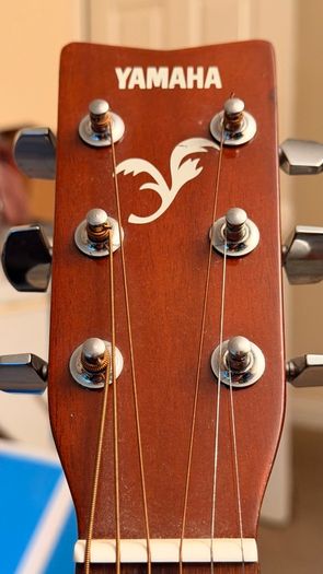 Guitar