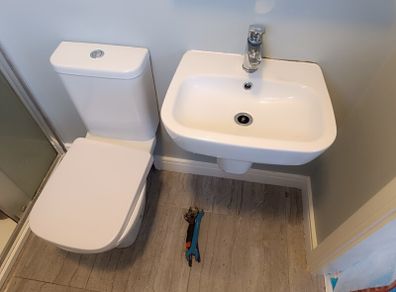 toilet and sink