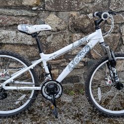 Apollo Evade Mountain Bike - 24in Wheels