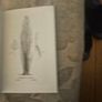 Trees by Margaret Kent, published in 1948 as part of The Children's Nature Series. [1]  Title: Trees  Author: Margaret Kent  Publisher: George G. Harrap  Date: 1948  First edition paperback in good condition.  See photos for same. Image 10