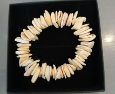 Shell bracelet