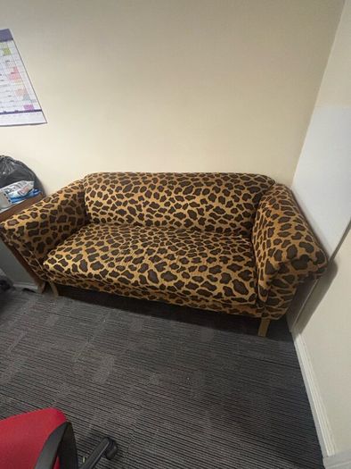 Leopard skin couch