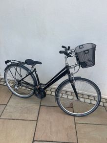 Pioneer ladys bike