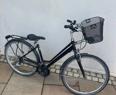 Pioneer ladys bike