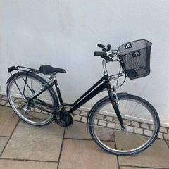 Pioneer ladys bike