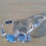 Crystal bear by Bohemia Crystal Image 5