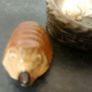 For sale three wade animal pieces Image 5