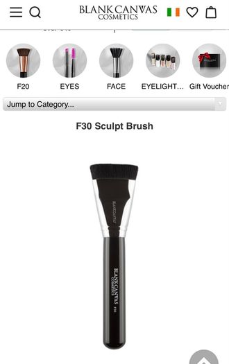 Blank Canvas Cosmetics 10 Color concealer palette and brush