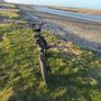 Fiido M1 Pro Electric Folding Bike Image 5