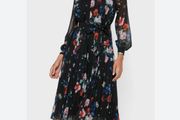 Naniro Midi Dress Ted B