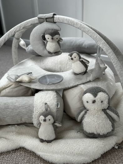 Wish Upon a Cloud Playmat Bundle with Tummy Time Roll, Sit & Play
