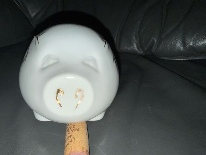 Royal Tara Irish fine bone china piggy bank