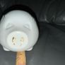 Royal Tara Irish fine bone china piggy bank Image 5