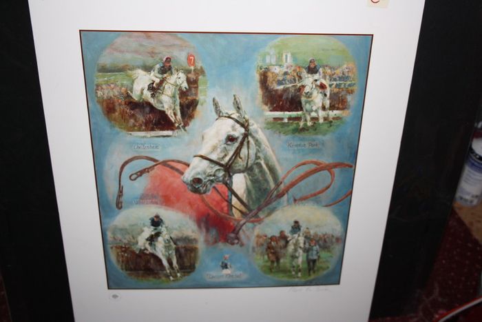 DESERT ORCHID
