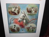 DESERT ORCHID