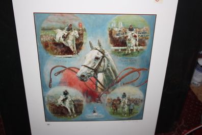 DESERT ORCHID