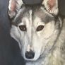 Custom Pet Portrait Paintings Image 10