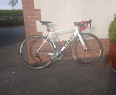 Giant TCR