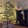 6.5 ft IKEA Christmas tree - decoration not included Image 3