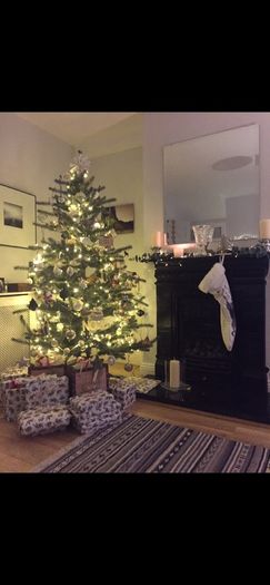 6.5 ft IKEA Christmas tree - decoration not included
