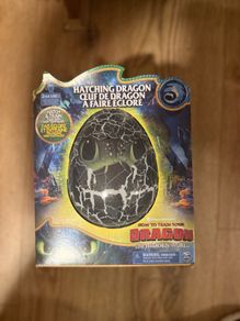 2019 Rare How To Train Your Dragon Hatchimal For Sale in Gorey, Wexford ...
