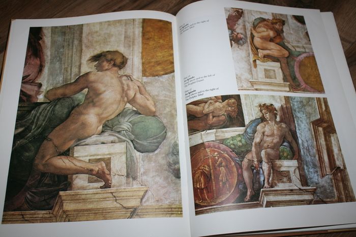 Michelangelo and His Art