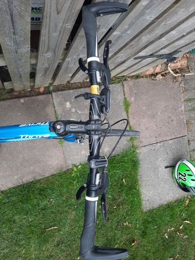 Giant ladies bike