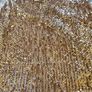 Boohoo mini elegant party dress Size 8UK Image 8