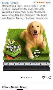 Dog potty